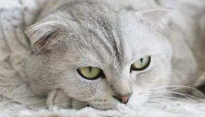 九游网-江西与浙江交战，胜负难料等待揭晓，江西和浙江交界地图