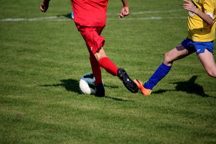 九游网页版官网入口-拳击国家队备战亚运 实施精英训练计划，拳击亚军奖杯照片