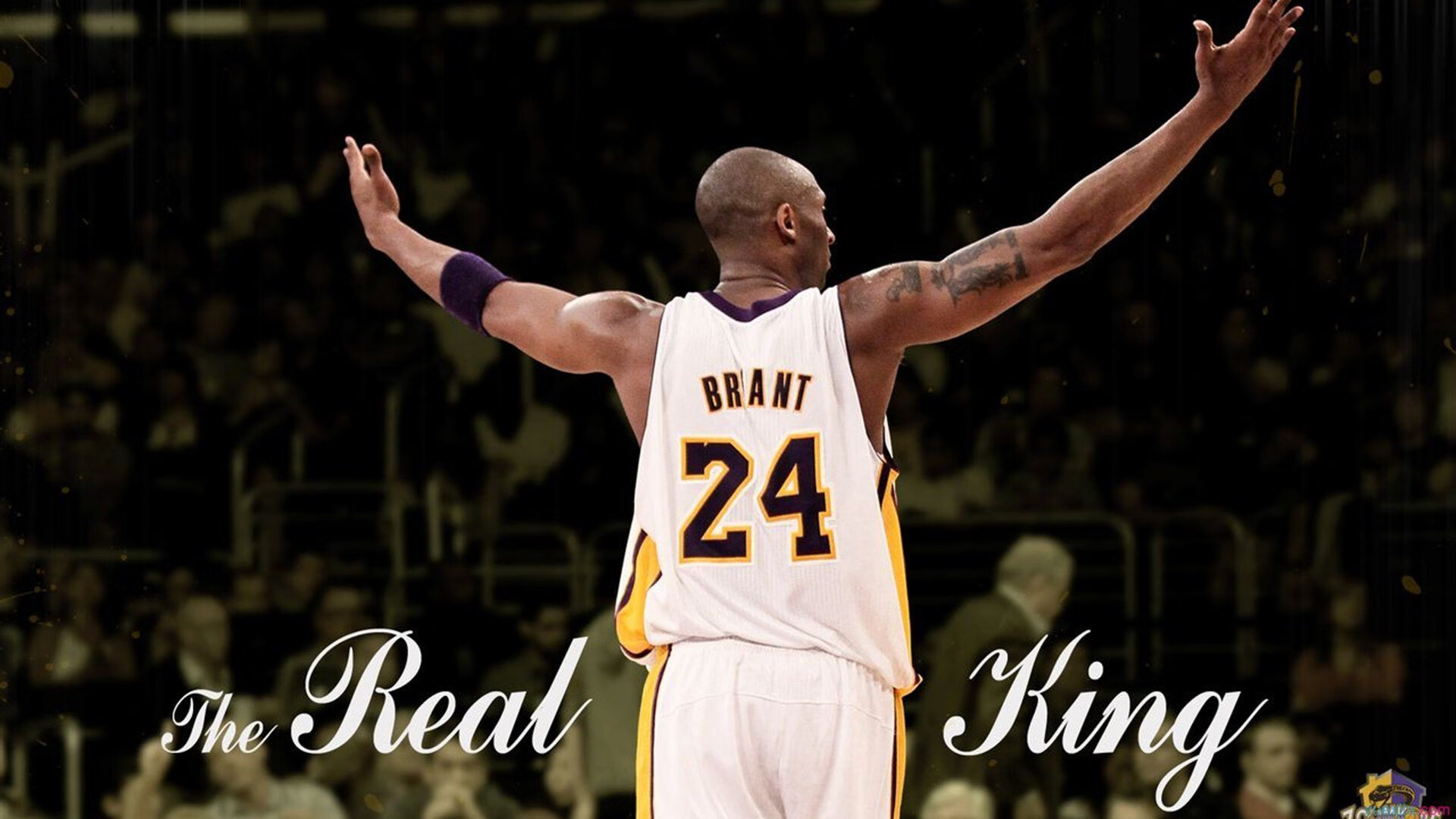 九游9游-公牛助教亲自参与战术演练细节十足，公牛的主教练